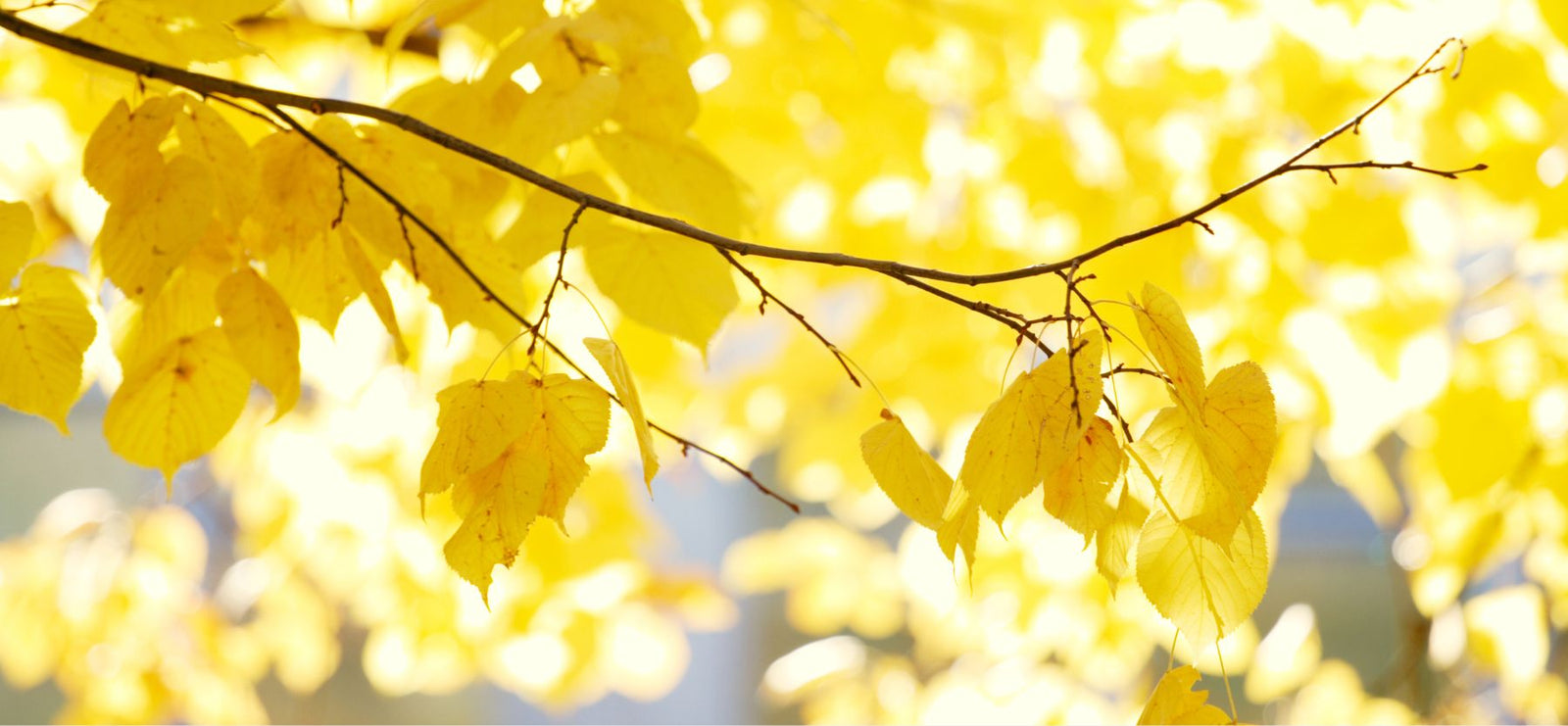 Why Fall Skincare Matters