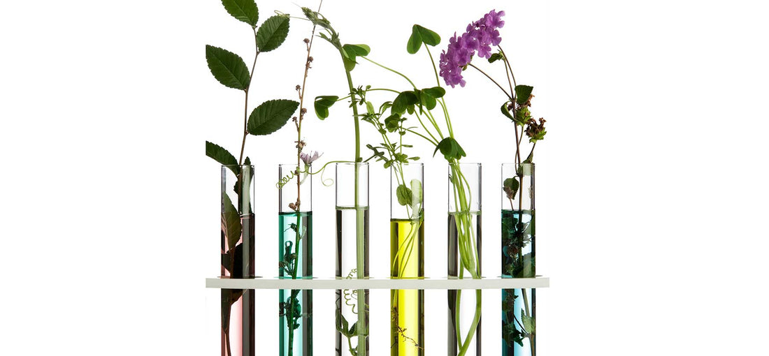 What is the active ingredient in your skincare?
