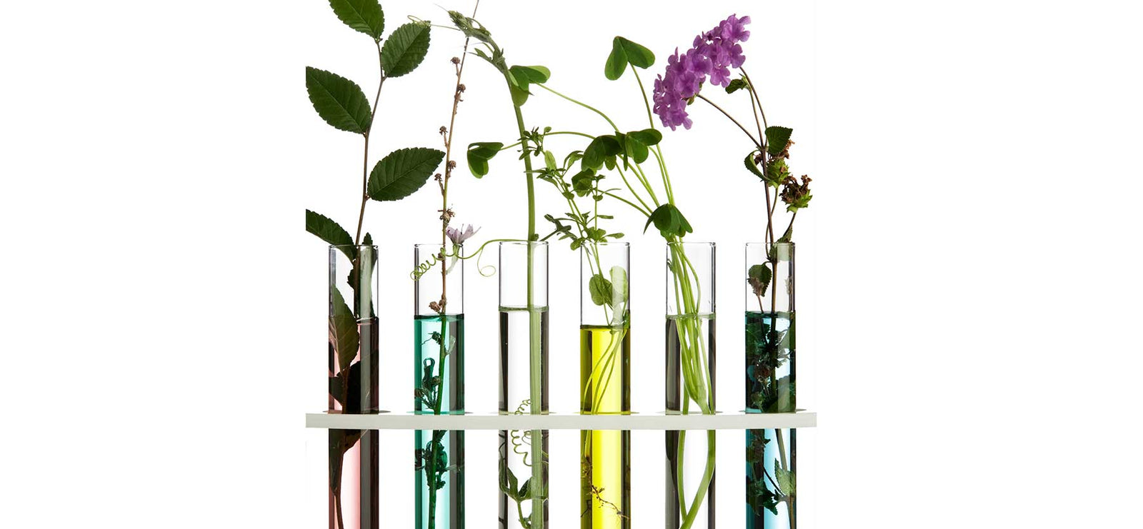 What is the active ingredient in your skincare?