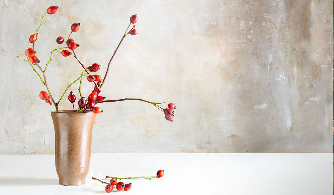 A Rosehip By Any Other Name