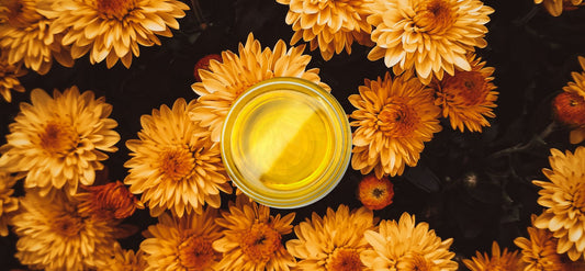 Update Your Skincare Routine For Fall