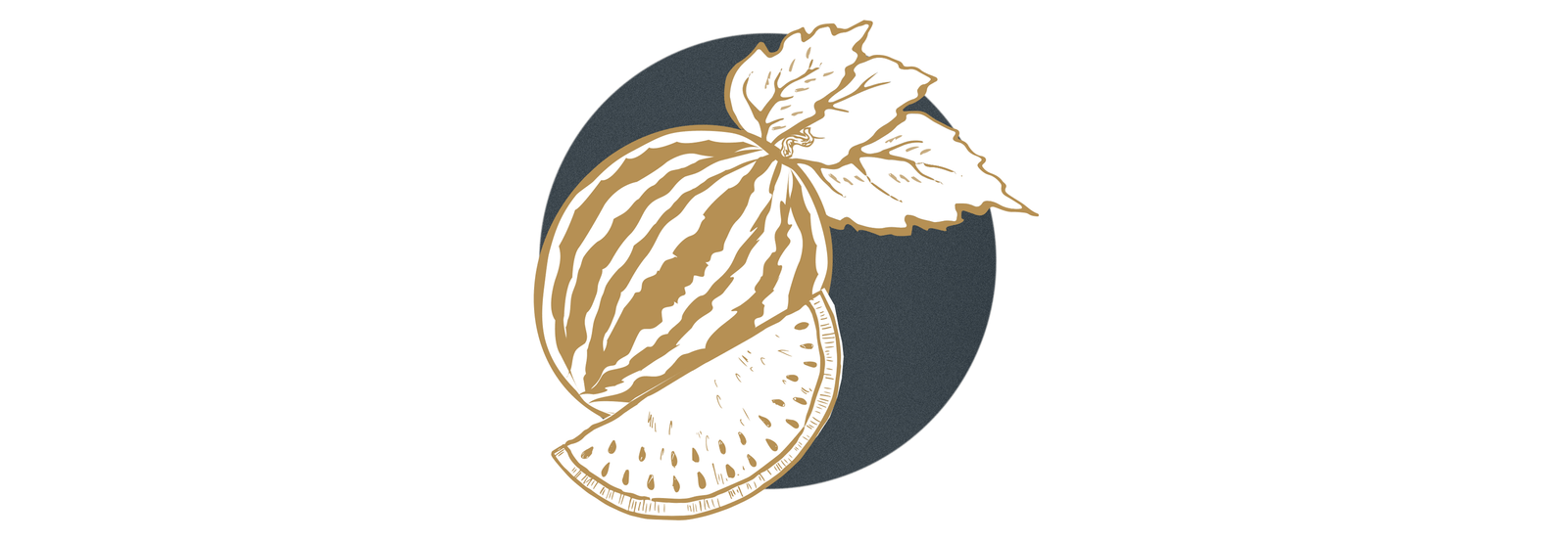 The Wonder of Kalahari Melon Oil