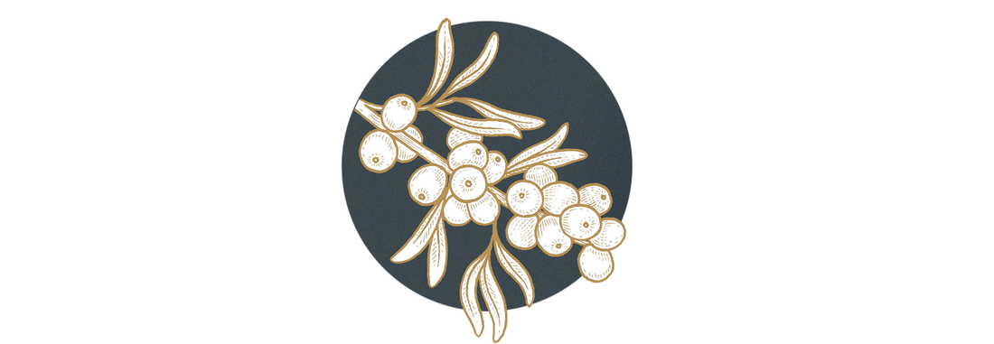 Why is Sea Buckthorn seed oil good for your skin?