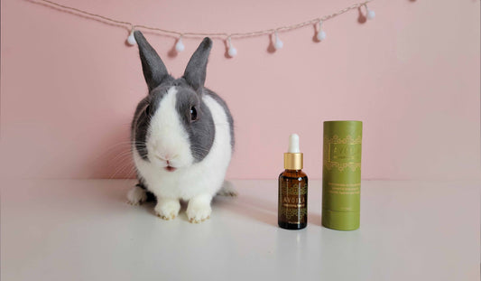 Bunny with Avoila Nourishing Face Oil