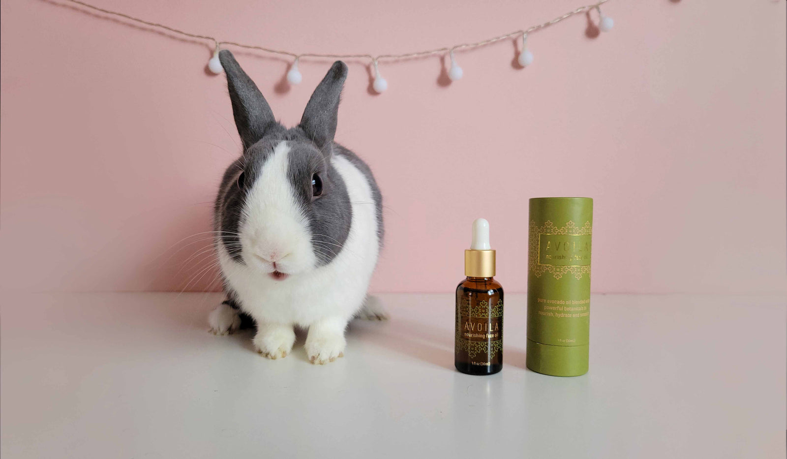 Bunny with Avoila Nourishing Face Oil